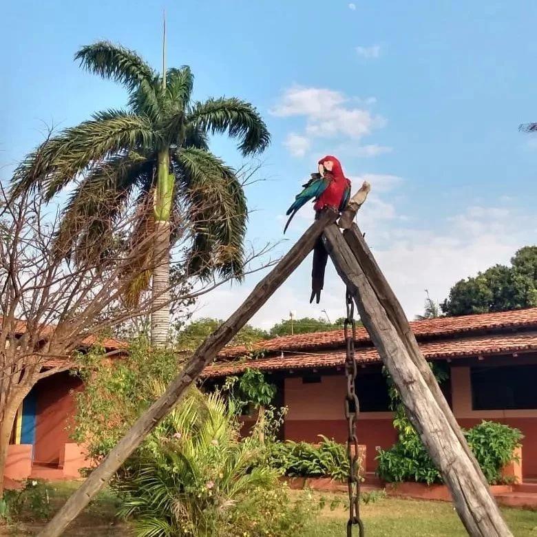 Pousada Estacao Lunar - Terra Ronca Sao Domingos de Goias Екстериор снимка