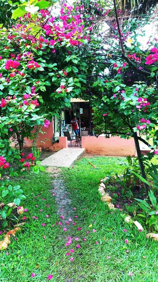 Pousada Estacao Lunar - Terra Ronca Sao Domingos de Goias Екстериор снимка